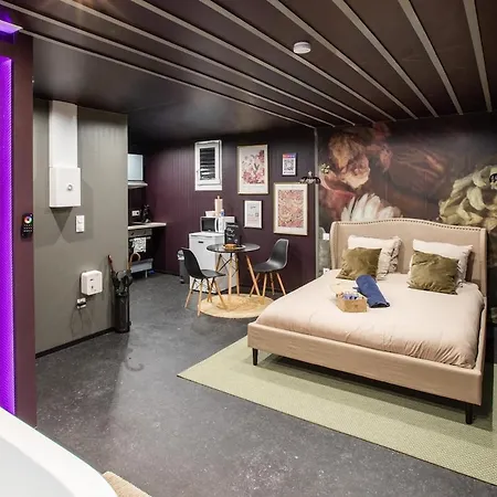 Deluxe Studio, Dark Floral, Jacuzzi, Parking Gratuit, Centre * Mulhouse