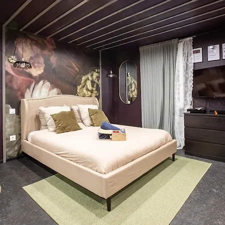 Διαμέρισμα Deluxe Studio, Dark Floral, Jacuzzi, Parking Gratuit, Centre *
