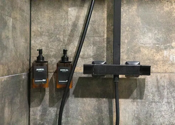 Apartamento Deluxe Studio, Dark Floral, Jacuzzi, Parking Gratuit, Centre Mulhouse